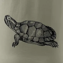 Tužkou kreslená želva