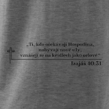 Citáty z bible - Izajáš 40:31