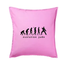 Judo evoluce - úder