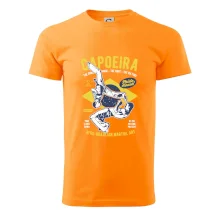 Capoeira  Afro-brazil art Capoeira  Afro-brazil art