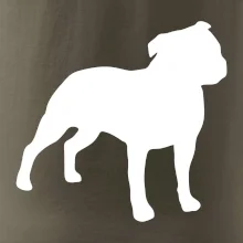 Americký stafordširský teriér  Na prsu