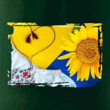Ukrajina slunečnice a kroj Ukrajina slunečnice a kroj