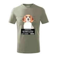 Lump a darebák bígl