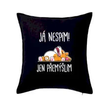 Já nespím, jen přemýšlím