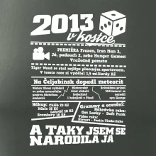 2013 v kostce