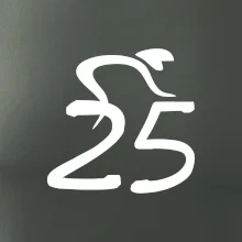 Cyklista slaví pětadvacítku (25)