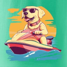 Zlatý retrívr na vodním skútru