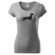 Jezevčík - Dachshund