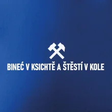 BINEĆ V KSICHTĚ A ŠTĚSTÍ V KOLE﻿