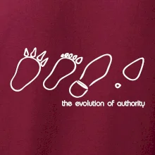 Evolution of authority