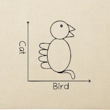 Cat bird diagram