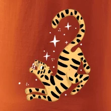 Tygr s hvězdami (studio-arte.cz)