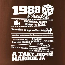 1988 v kostce