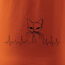 EKG křivka kočka