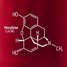 Molekulární struktura Morfin