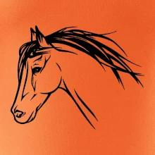 Kůň - hlava celá