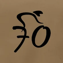 Cyklista slaví sedmdesátku (70)