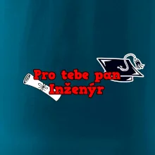 Pro tebe pan Inženýr