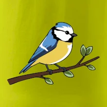 Sýkorka modřinka na větvi