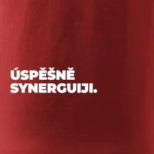 ÚSPĚŠNĚ SYNERGUIJI.
