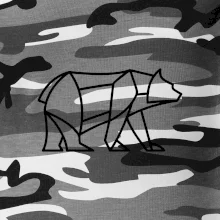 Geometrie lední medvěd chodící