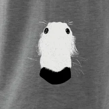 Barzoj čumák (Moňas)