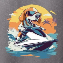 Bígl na vodním skútru