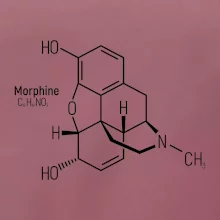 Molekulární struktura Morfin