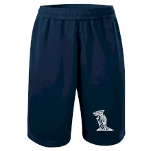 Mayové - zvířata  papoušek