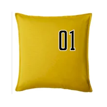 Můj nejoblíbenější hráč - Vaše jméno a číslo