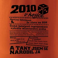 2010 v kostce