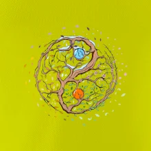Yin & Yang strom - zima, léto Yin & Yang strom - zima, léto