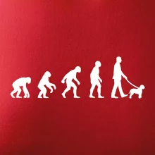 Lagotto romagnolo Evoluce muž / žena