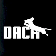 Jezevčík Dach