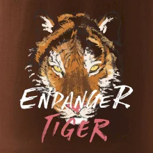 Tygr - endanger