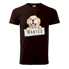 Zlatý retriever - štěně wanted
