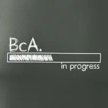 In progress  titul BcA. bakalář / bakalářka umění