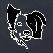 Border kólie obrys hlavy