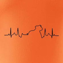 Stafordšírsky bulteriér EKG