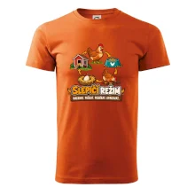 Slepičí režim od krmení po sběr vajec
