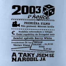 2003 v kostce