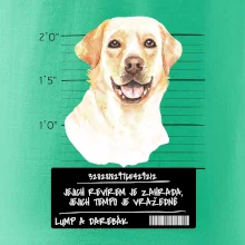 Lump a darebák labrador