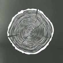 Letokruhy 55 bez věku