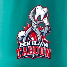 Jsem hlavní tahoun