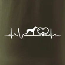 Chrt - Ekg