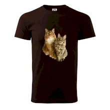 Kočky vectorizované  (Moňas)