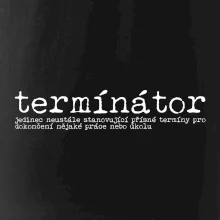 Čeština 2.0 - termínátor