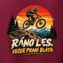 Ráno les večer praní bláta na kole