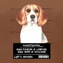 Lump a darebák bígl