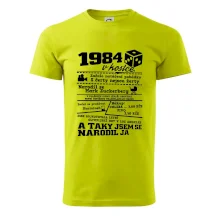 1984 v kostce